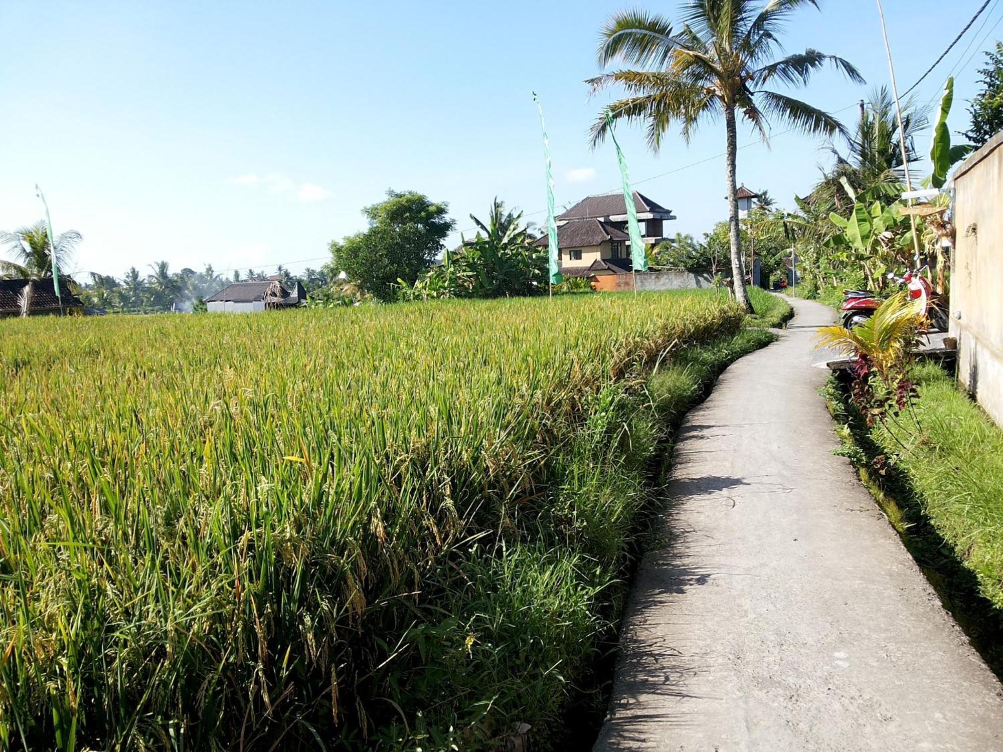 Jagi Villa Ubud Exteriér fotografie